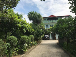 Гостиница Guesthouse Green House  Батуми